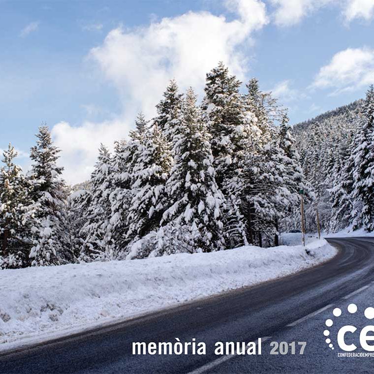 memoria-anual-cea-2017
