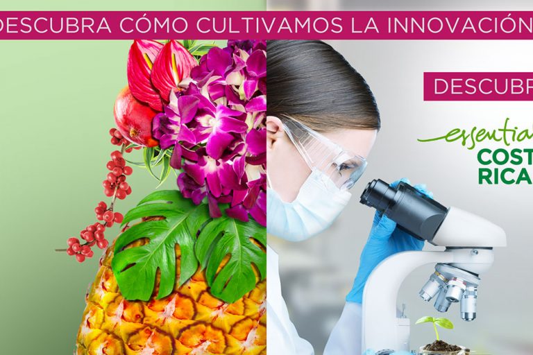 Buyers Trade Mission 2018, XX Edició