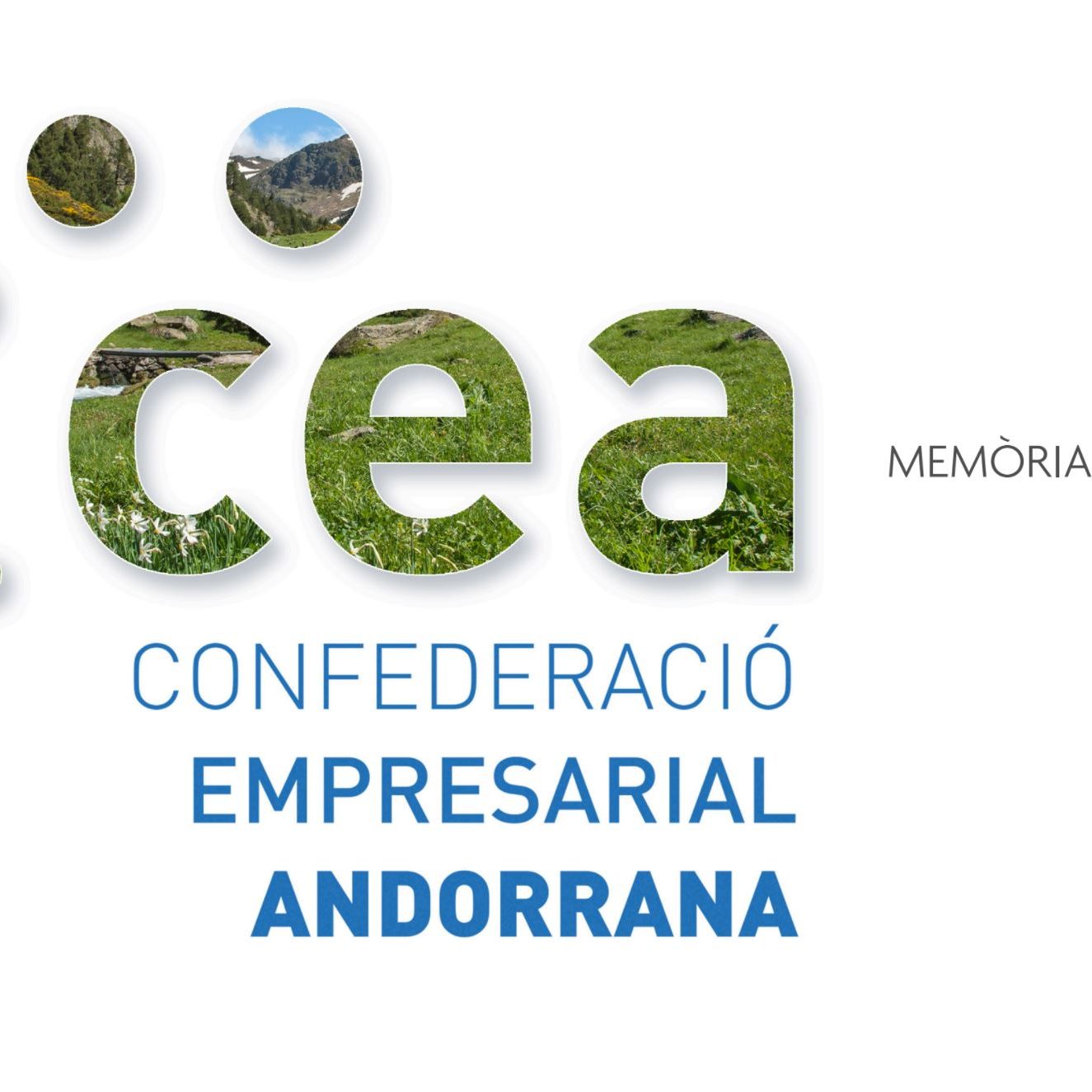 memoria 2020 cea andorra